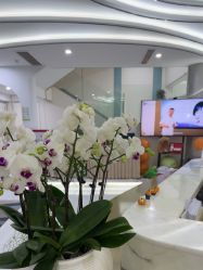 点击看大图 -杭州奥拉克医疗美容门诊部