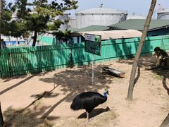 -西霞口神雕山野生动物世界