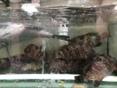 -鸿旺海鲜楼(平潭流水店)