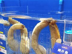-船梆煮•蒸汽海鲜·生腌干蒸(五四广场店)