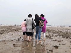 -小皓村