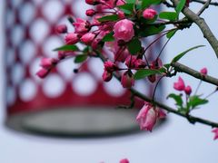 -明故宫遗址公园