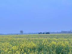 -汉长安城未央宫国家考古遗址公园