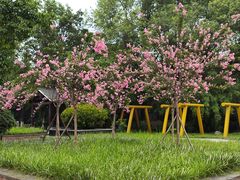 -沙河三洞古桥公园