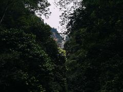 -赤水丹霞旅游区·佛光岩