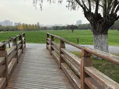 -汉长安城未央宫国家考古遗址公园