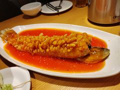 -黄鹤天厨·泡椒田鸡创始者(莲花店)