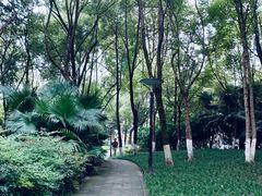 -重庆彩云湖湿地公园