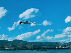 -海埂大坝