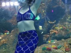 -沙沙哗啦海洋馆(华宇百花谷店)