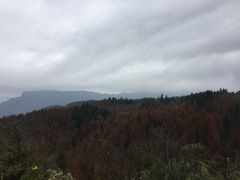 -山王坪喀斯特国家生态公园