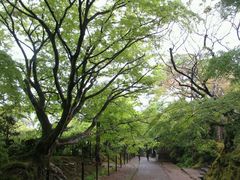 -常寂光寺