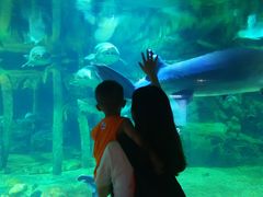 -华夏文旅海洋公园