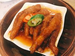 百合酱蒸凤爪-点都德(大茶楼店)