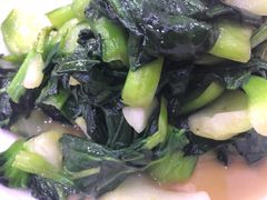 -全乐鱼馆·淳牌有机鱼直营店