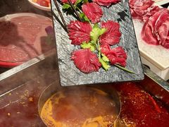 -红鼎坊·老成都火锅(新南门店)