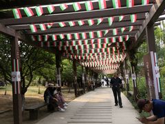-白马涧龙池景区