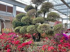 -沂蒙云瀑洞天景区