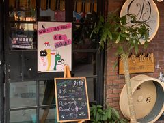 -豆逗聊愈猫阁Easy Life