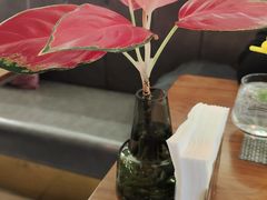 -Terra Rossa(陆家嘴中心店)