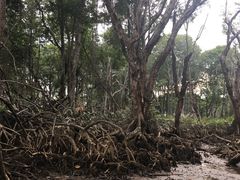 -乌鲁淡布隆国家公园