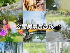 -西苑公园