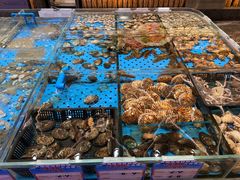 -大连湾旭日·家宴·海肠捞饭(马栏广场店)
