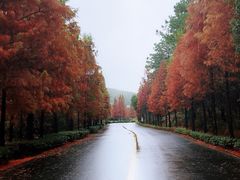 -南京市无想山景区