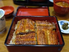 -本家 柴藤