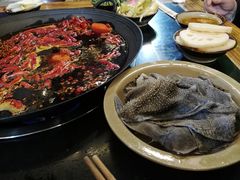 -肥龙火锅(南坪店)