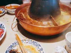 -东镇老火锅(长春路首店)