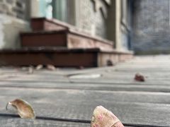 -半岛1919创意园区