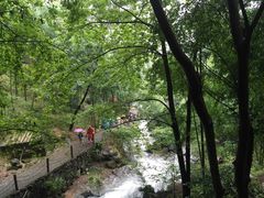 -藏龙百瀑风景区