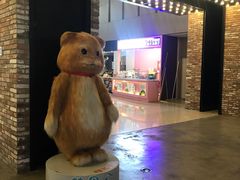 -沈阳HAI乐园