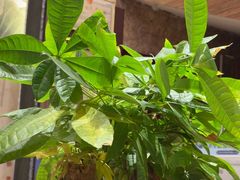 -尚康·按摩SPA·经络养生会所(东城总店)