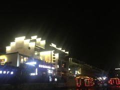-两棵枇杷树