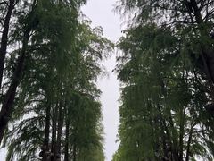 -东湖生态旅游风景区