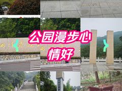 -铁山坪森林公园