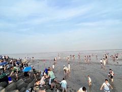 -南汇嘴观海公园