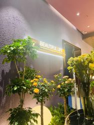 -花隐·美芙炫海菲秀皮肤管理中心