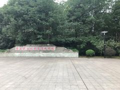 -重庆彩云湖湿地公园