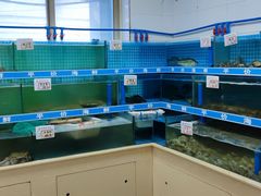 水产区-渔家乐小海鲜(皇姑店)