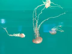 -多彩贵州城极地海洋世界