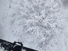 -太子岭滑雪场