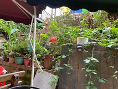 -鱼乐岛餐厅·户外花园主题餐厅