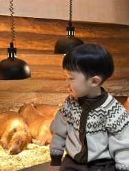 点击看大图 -Zoolung Zoolung动物主题公园(海信广场店)