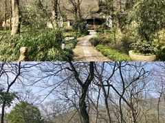 -法云安缦酒店