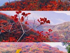 -沉浸北京·团建旅行·密室剧本杀·年会会议轰趴拓展