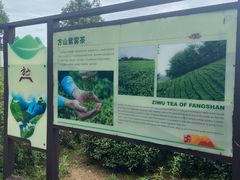 -南京市江宁方山