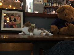 -咖法森林·咖啡  酒吧(天河店)